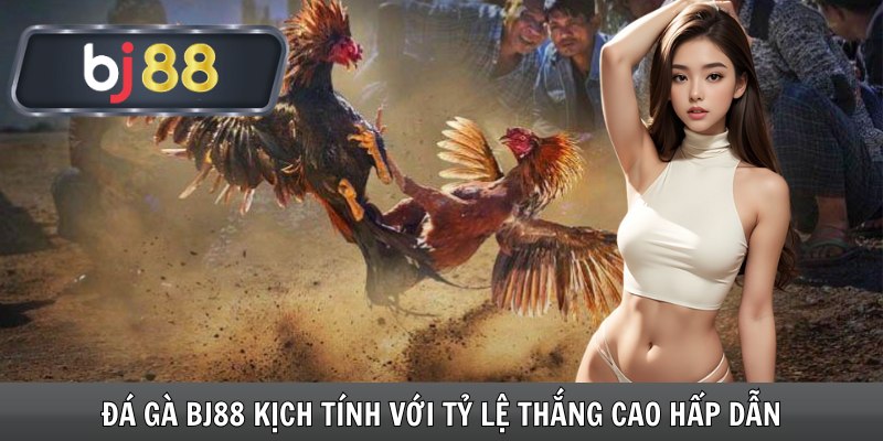 Đá Gà Bj88 Kịch Tính Với Tỷ Lệ Thắng Cao Hấp Dẫn